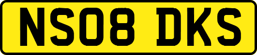 NS08DKS