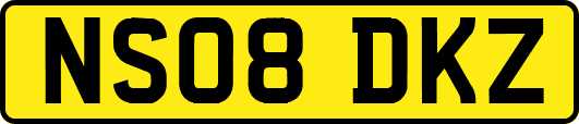 NS08DKZ