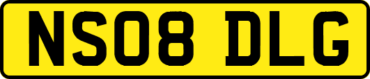 NS08DLG