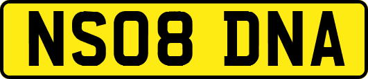 NS08DNA