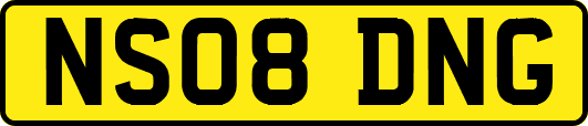 NS08DNG