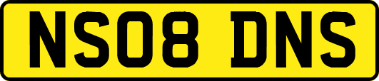 NS08DNS