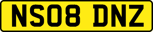 NS08DNZ