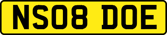 NS08DOE