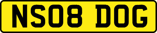 NS08DOG