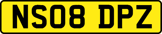 NS08DPZ