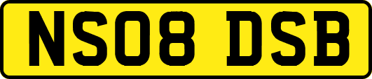 NS08DSB