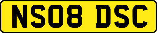 NS08DSC