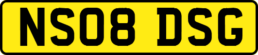 NS08DSG