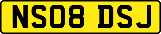 NS08DSJ