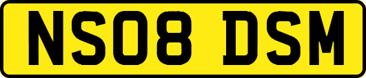NS08DSM