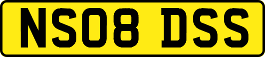 NS08DSS