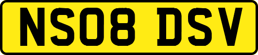 NS08DSV