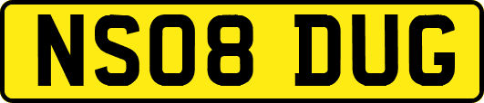 NS08DUG