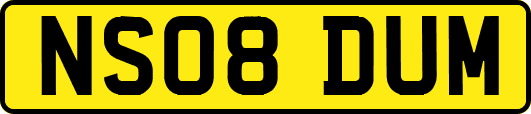NS08DUM