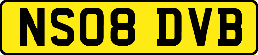 NS08DVB