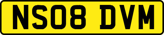 NS08DVM