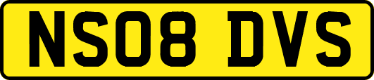 NS08DVS