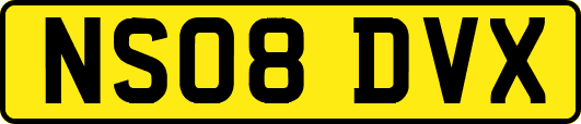 NS08DVX