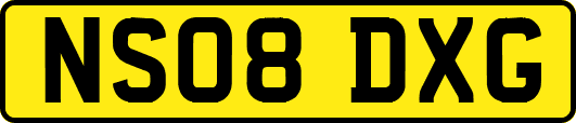NS08DXG