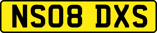 NS08DXS