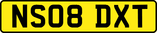 NS08DXT