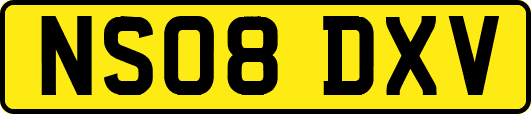 NS08DXV