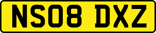 NS08DXZ