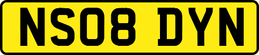 NS08DYN