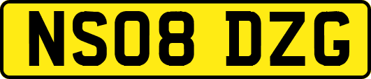 NS08DZG