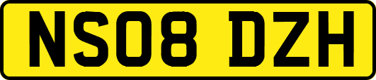 NS08DZH