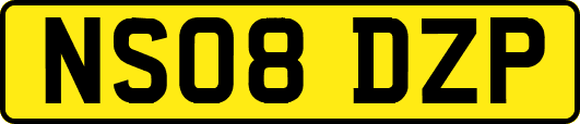 NS08DZP