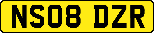 NS08DZR