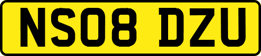NS08DZU