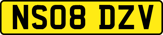 NS08DZV