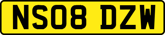 NS08DZW