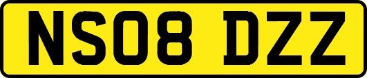 NS08DZZ