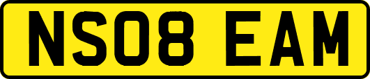 NS08EAM