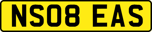NS08EAS