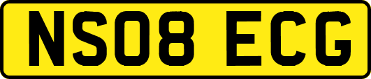 NS08ECG