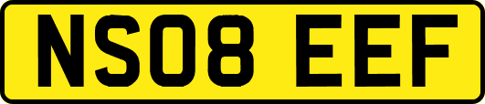 NS08EEF