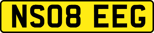 NS08EEG