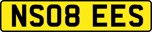 NS08EES