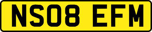 NS08EFM