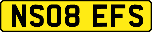 NS08EFS