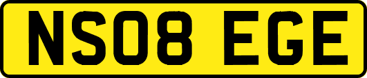 NS08EGE