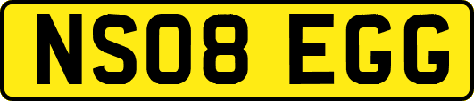 NS08EGG