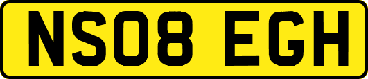 NS08EGH