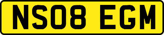 NS08EGM