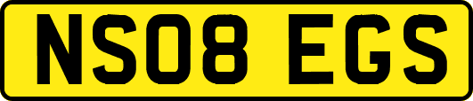 NS08EGS